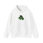 Funky Unisex Heavy Blend™ Hooded Sweatshirt