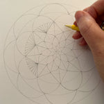 Dream Catcher SkateBowl - Elevated Dog Bowl