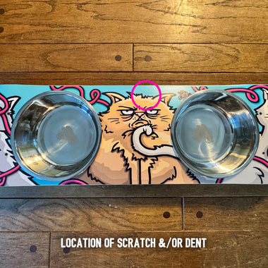 Cats With Attitude SkateBowl - #1 Scratch & Dent Special