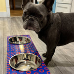 Phunky Donuts SkateBowls - Elevated Dog Bowl