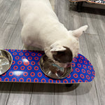 Phunky Donuts SkateBowls - Elevated Cat & Dog Bowl - Free Shipping