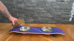 Phunky Donuts SkateBowls - Elevated Cat Bowl
