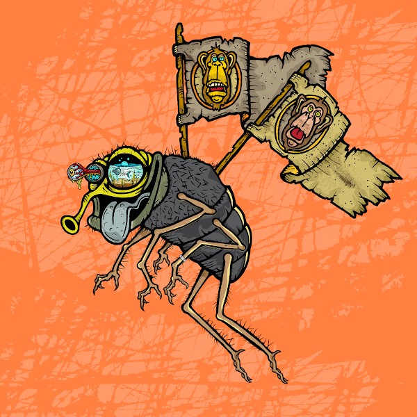 Buy Men's & Womens Athletic Shorts Online Funky Flies tagged "Shorts"