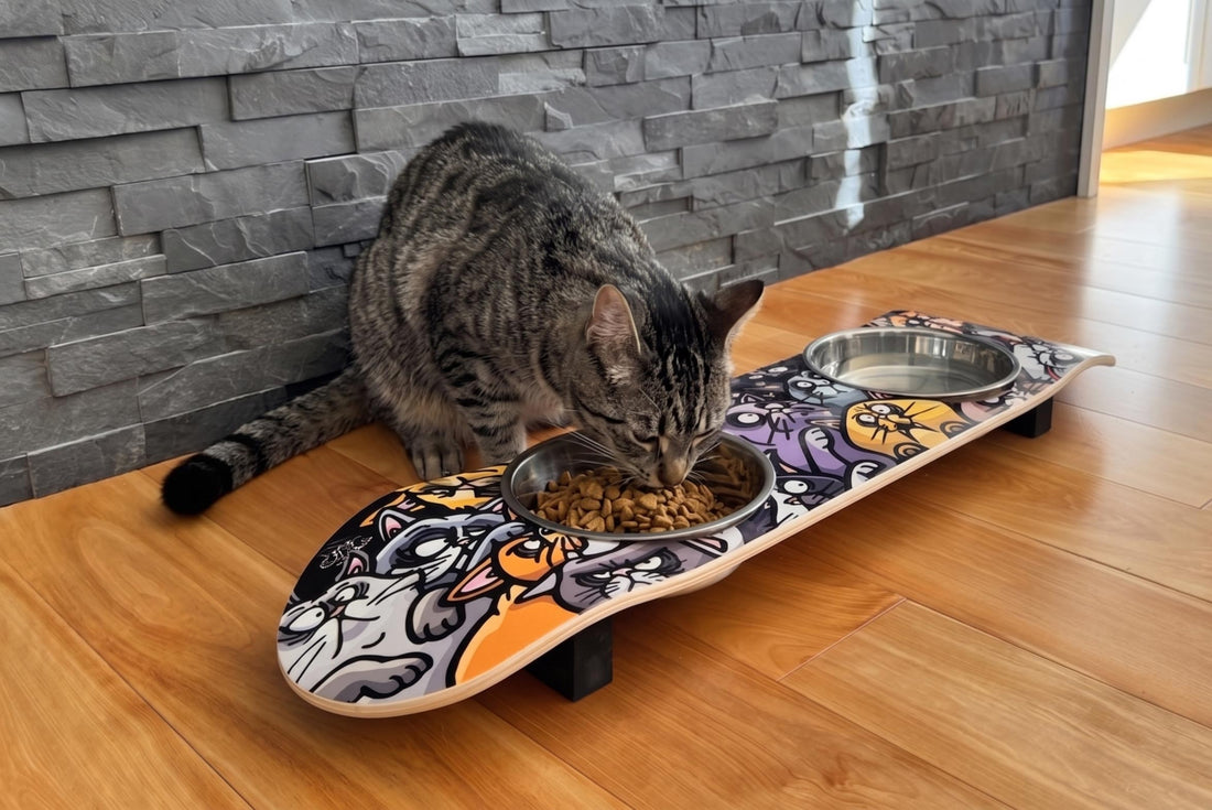 Cat Feeding Station Ideas That Are Actually Worth Buying