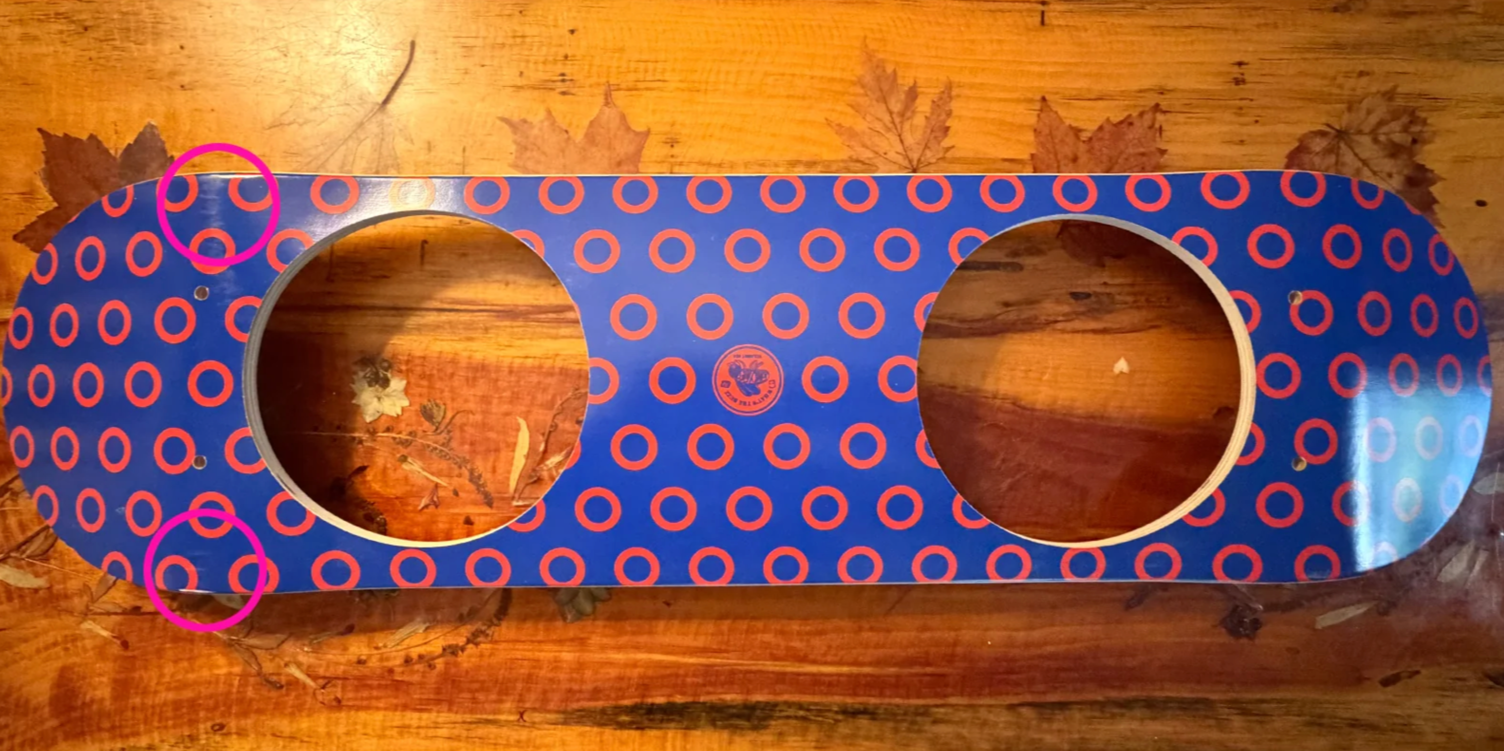 Scratch & Dent Skatebowls: A Smart Choice for Affordable Premium Pet Bowls