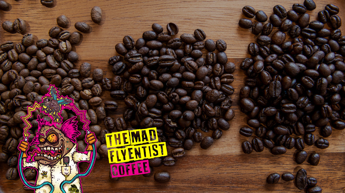 Light Roast vs Dark Roast Coffee: How to Choose the Right Roast
