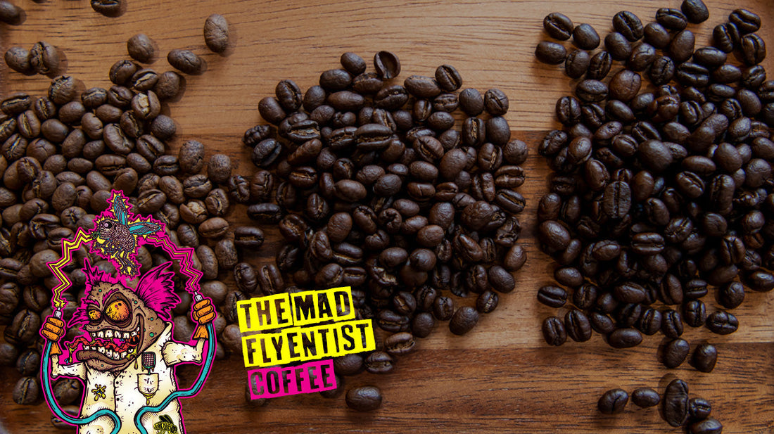 Light Roast vs Dark Roast Coffee: How to Choose the Right Roast