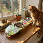 Funky Fungi Cat SkateBowls - Elevated Cat Bowl