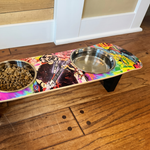 Musical Vibes Dog SkateBowls - Elevated Dog Bowl