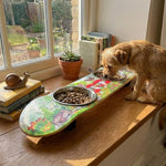 Funky Fungi Dog SkateBowls - Elevated Dog Bowl