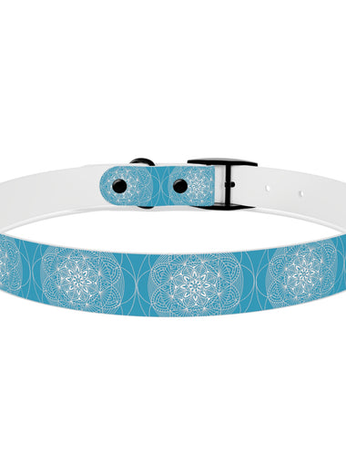 Dog Collars