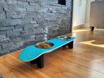 Dream Catcher SkateBowl - Elevated Dog Bowl