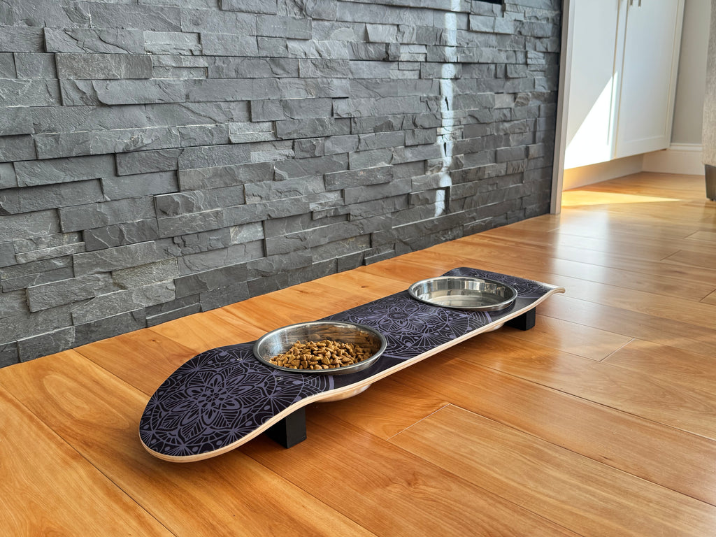 Dream Catcher SkateBowl - Elevated Cat Bowl