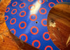 Phunky Donuts SkateBowl - #3 Scratch & Dent Special