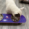 Phunky Donuts SkateBowls - Elevated Dog Bowl