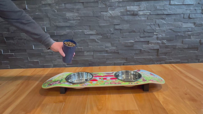 Funky Fungi Cat SkateBowls - Elevated Cat Bowl