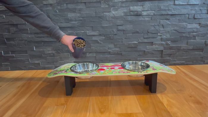 Funky Fungi Dog SkateBowls - Elevated Dog Bowl