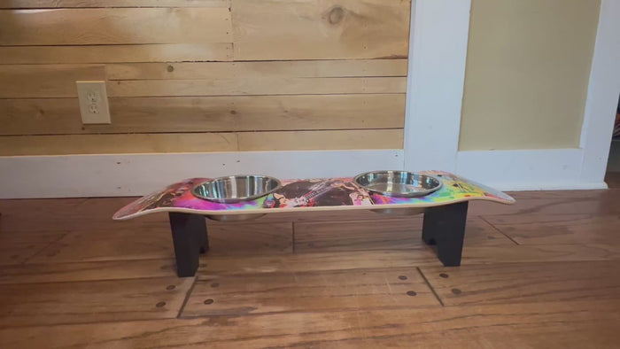 Musical Vibes Dog SkateBowls - Elevated Dog Bowl