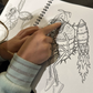 Funky Flies Coloring Book - Vol 1