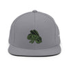 Green Logo Snapback Hat