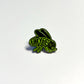 Limited Edition Funky Flies Green Enamel Logo Pin